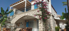 Havuzlu taş villa 2